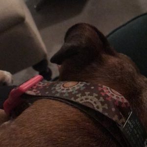 Meet your Posher, Cathy